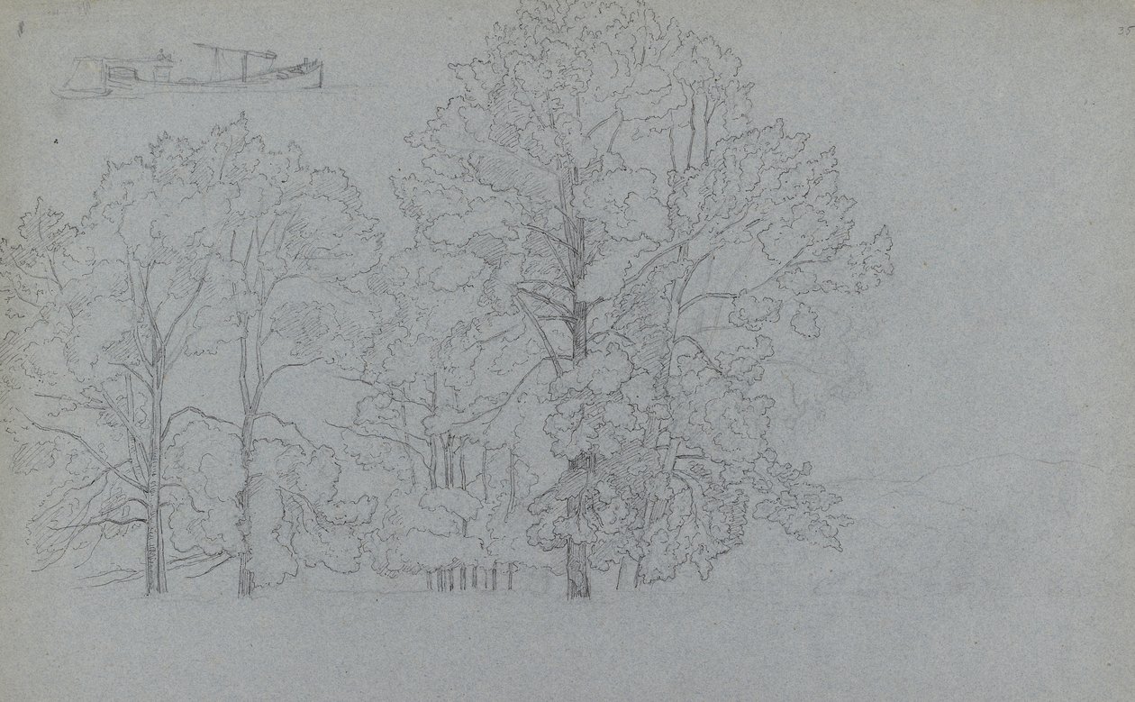 Estudio de árboles, con un ligero estudio de una barcaza, 1859 de Camille Jacob Pissarro