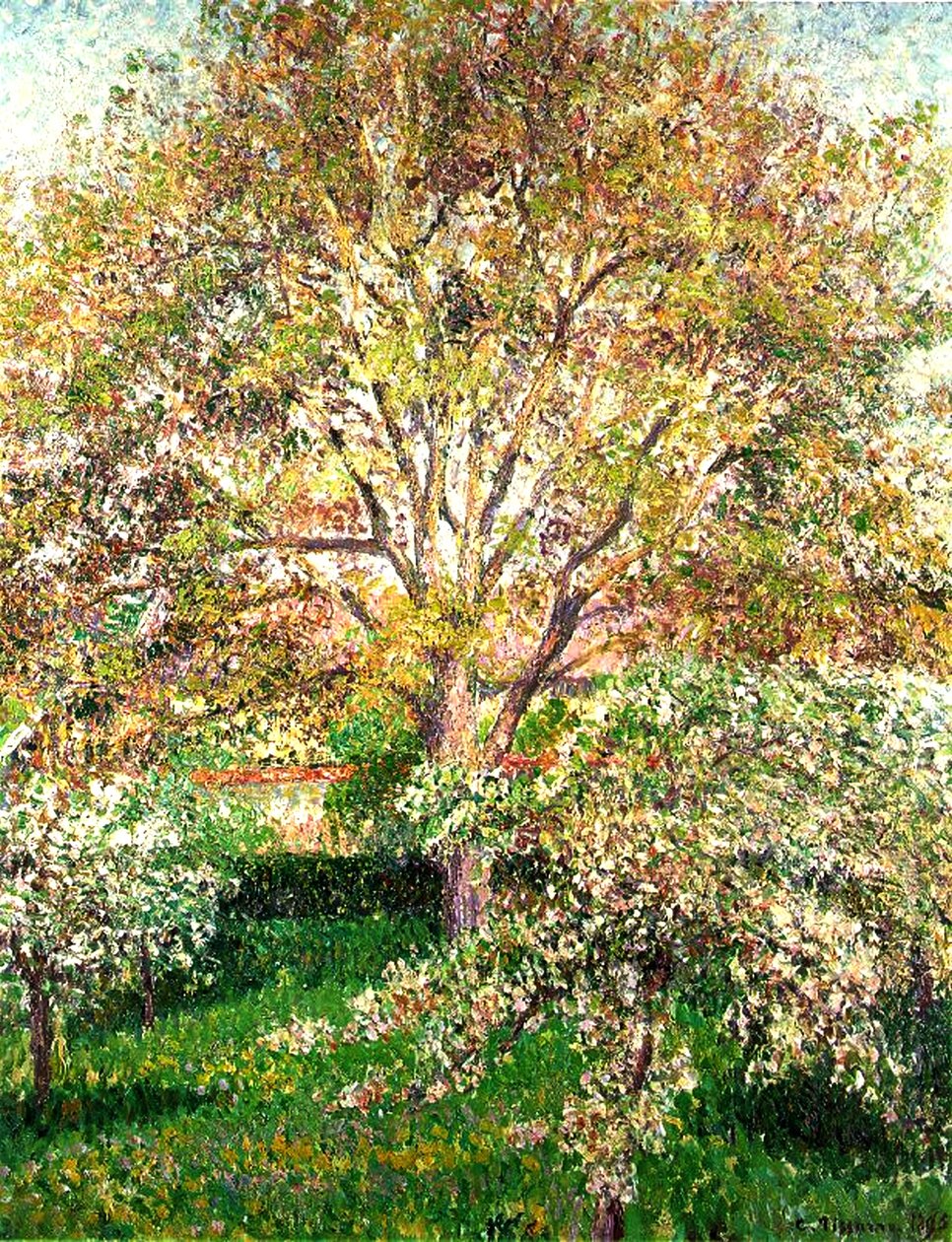 Árboles en flor en Eragny, 1895 de Camille Jacob Pissarro