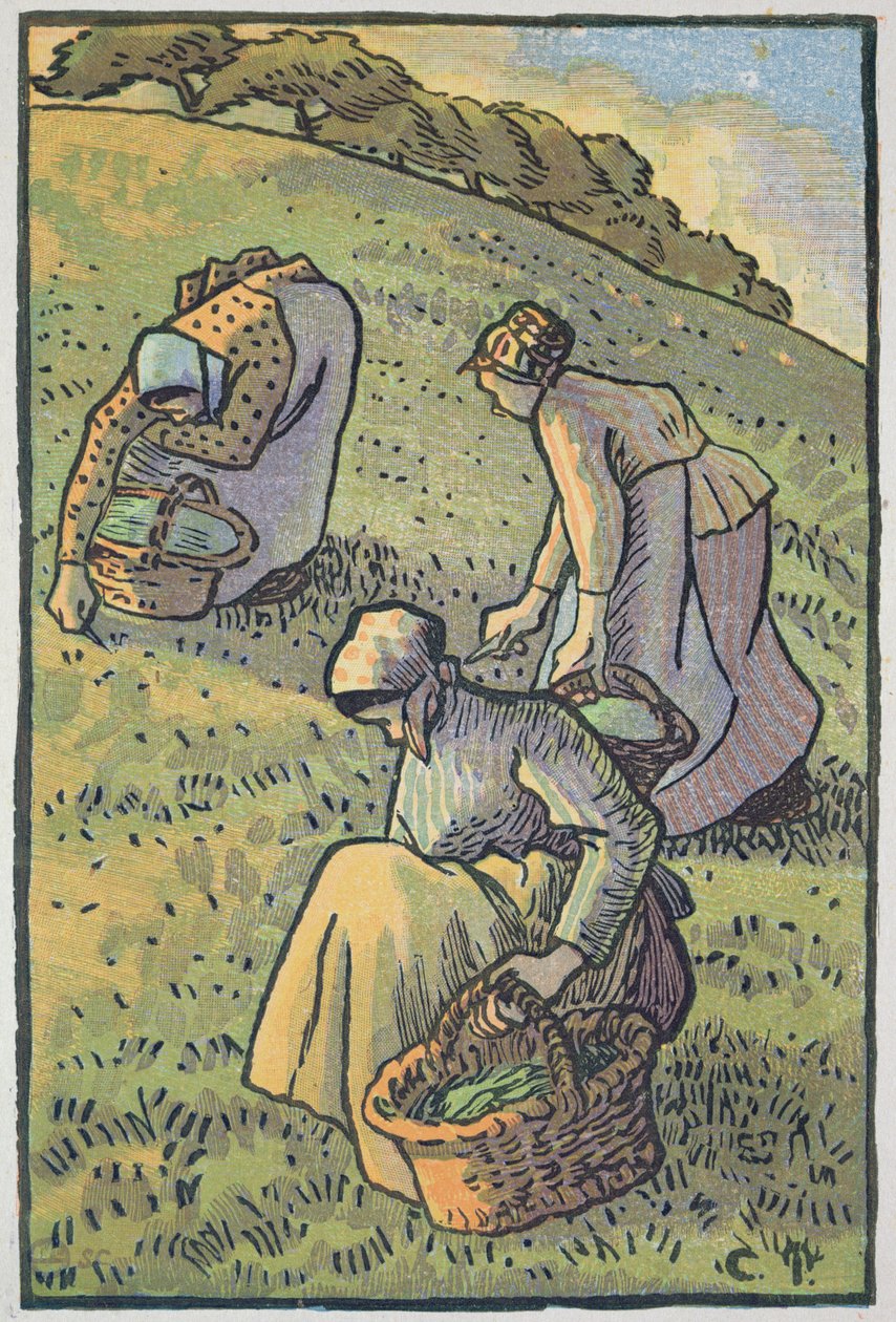 Mujeres recogiendo setas, de 