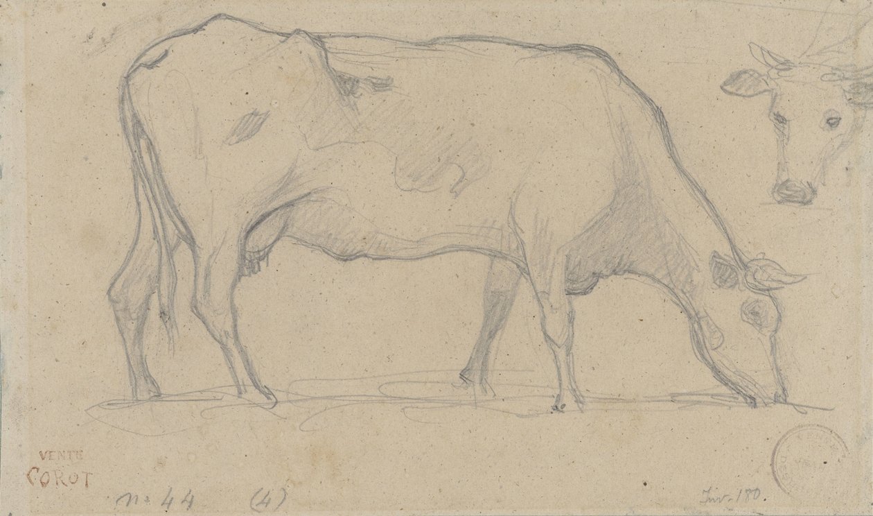 Vaca pastando, arriba a la derecha la cabeza de otra vaca de Camille Corot