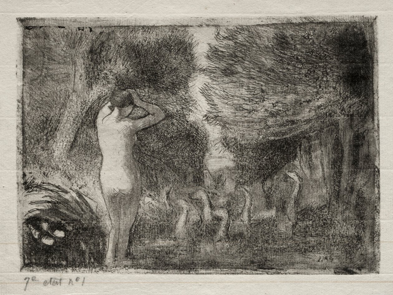 Bañista y gansos, 1895 de Camille Jacob Pissarro