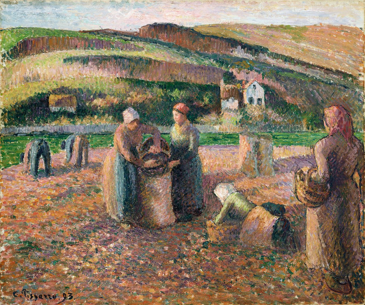 Recogiendo patatas, 1893 de Camille Jacob Pissarro