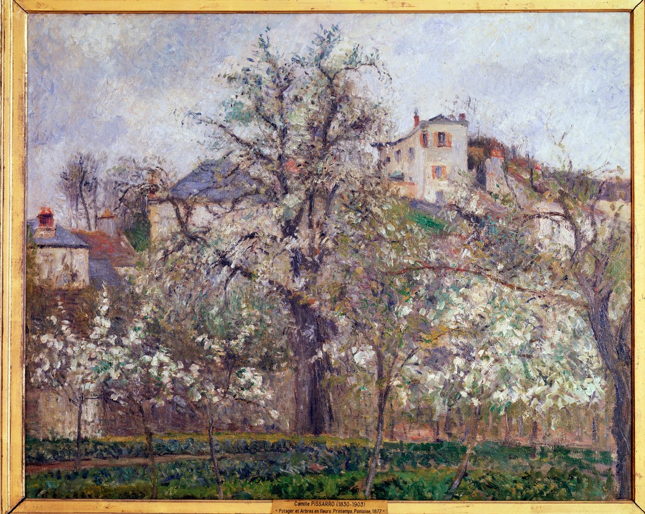 Primavera, flores de ciruelo en Pontoise de Camille Jacob Pissarro