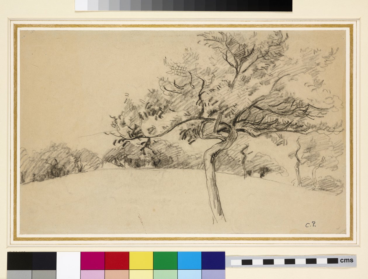 Estudio del huerto en Eragny-sur-Epte con un árbol en primer plano de Camille Jacob Pissarro