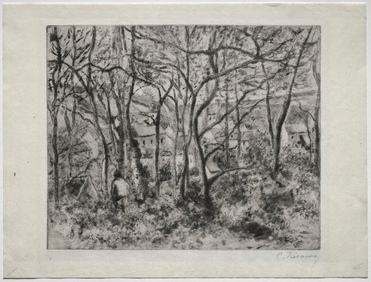 Paisaje boscoso en L