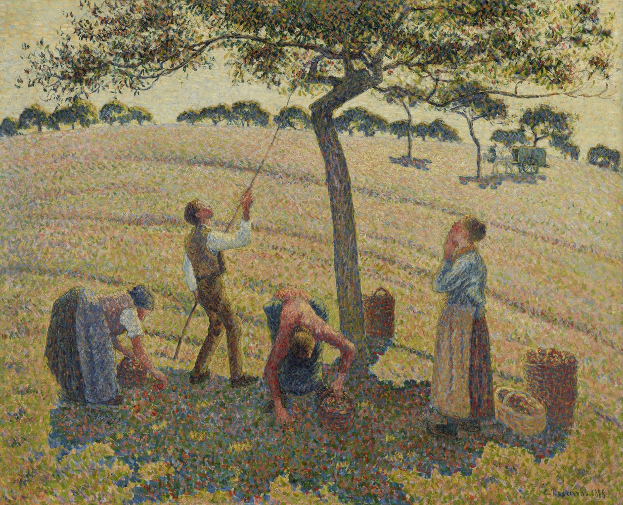 Cosecha de manzanas de Camille Jacob Pissarro