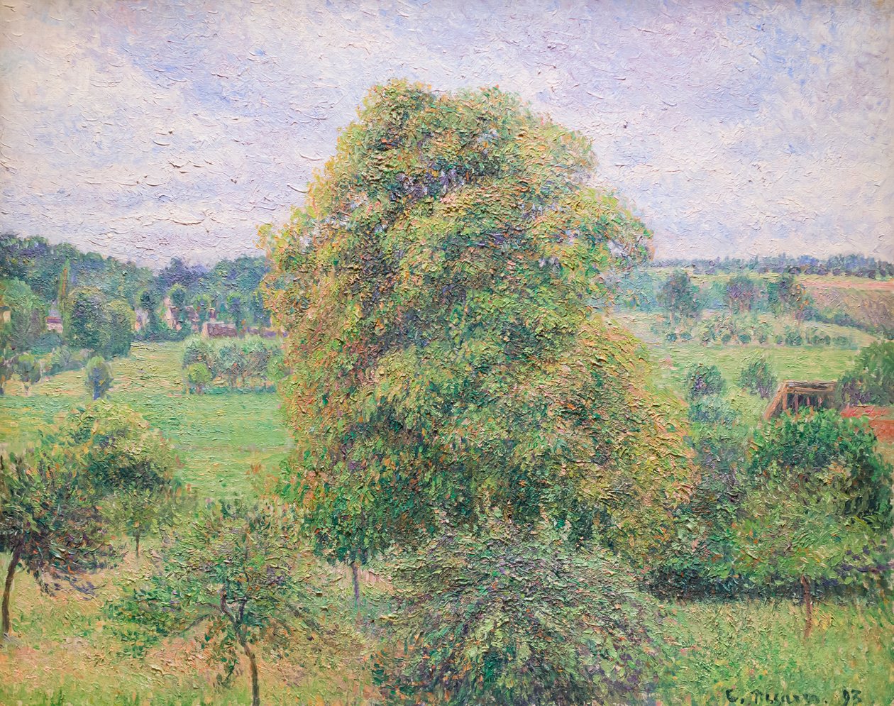 Gran nogal en Eragny de Camille Pissarro