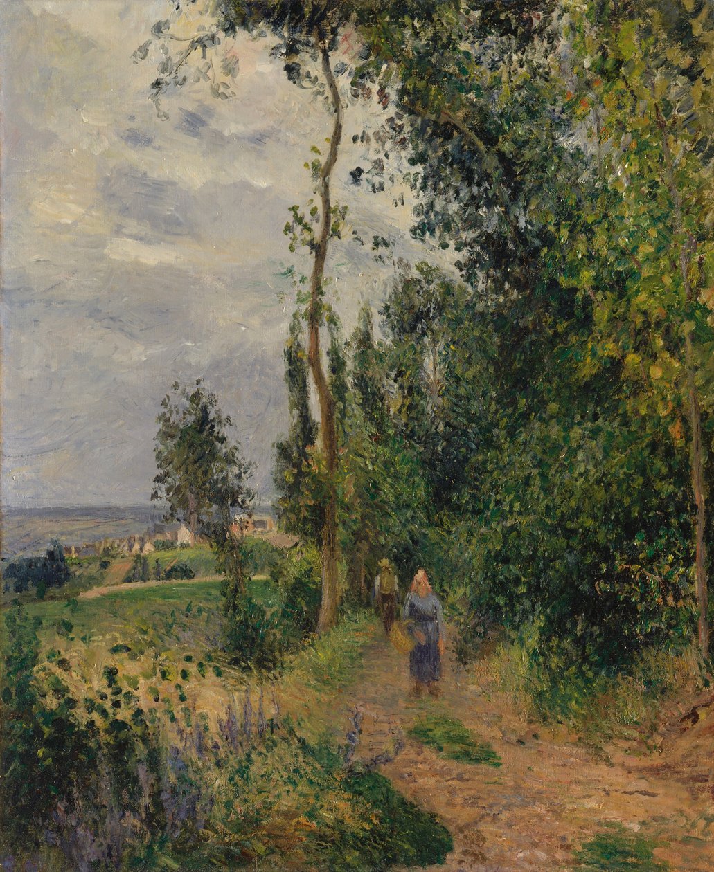 Côte des Grouettes, cerca de Pontoise de Camille Jacob Pissarro