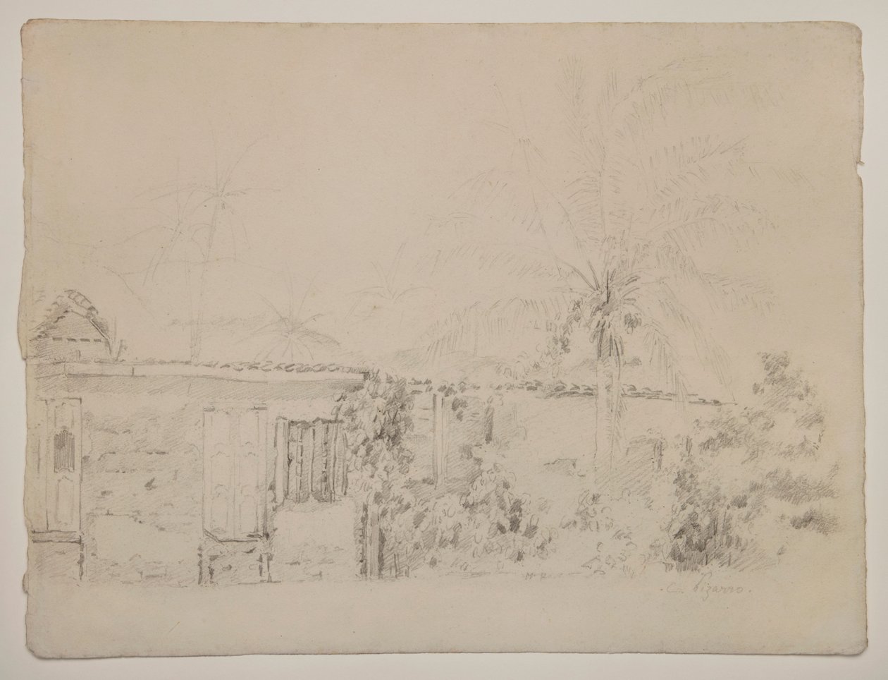 casas y palmeras de Camille Pissarro