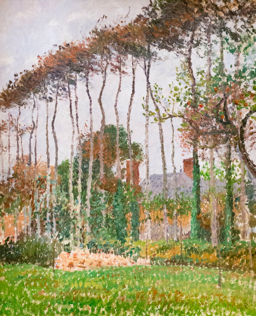 Paisaje en Varengeville, c. 1889 (óleo sobre lienzo) de Camille Pissarro