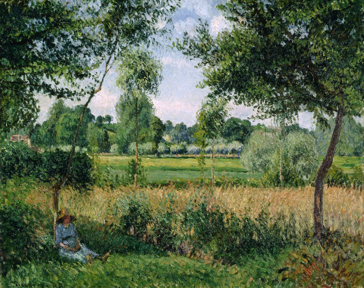 Efecto de luz solar matinal, Eragny de Camille Pissarro