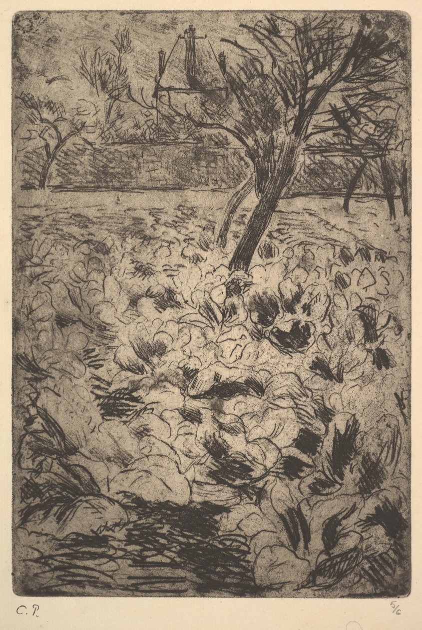 El campo de coles, ca. 1880 de Camille Jacob Pissarro