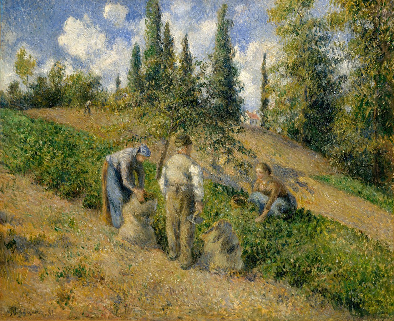 La cosecha, Pontoise La Récolte, Pontoise, 1881 de Camille Jacob Pissarro