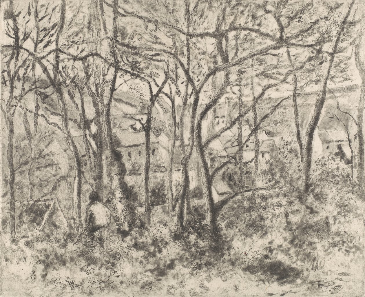 Los bosques en L