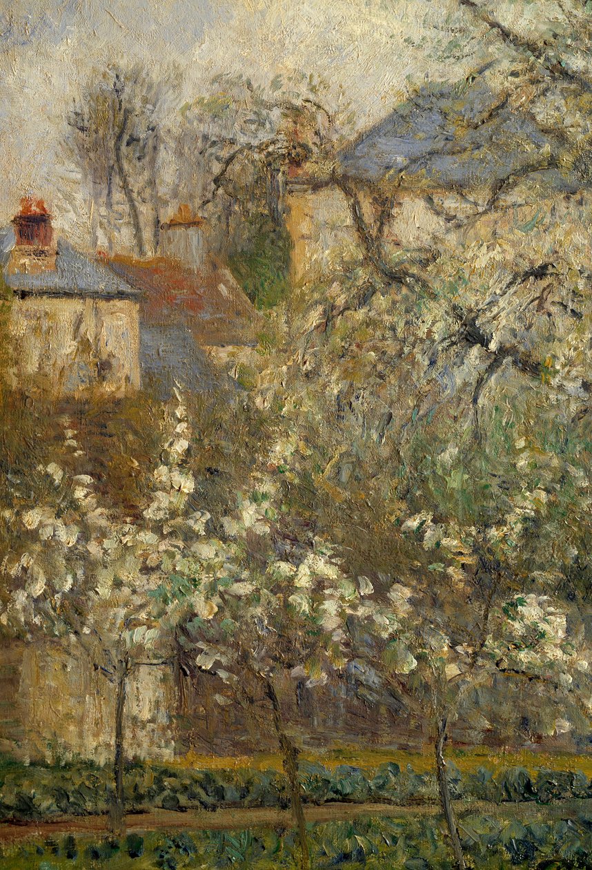 Huerto y árboles en flor en primavera en Pontoise de Camille Jacob Pissarro