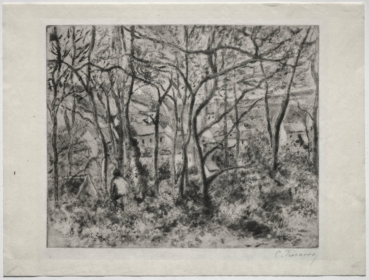 Paisaje boscoso en L