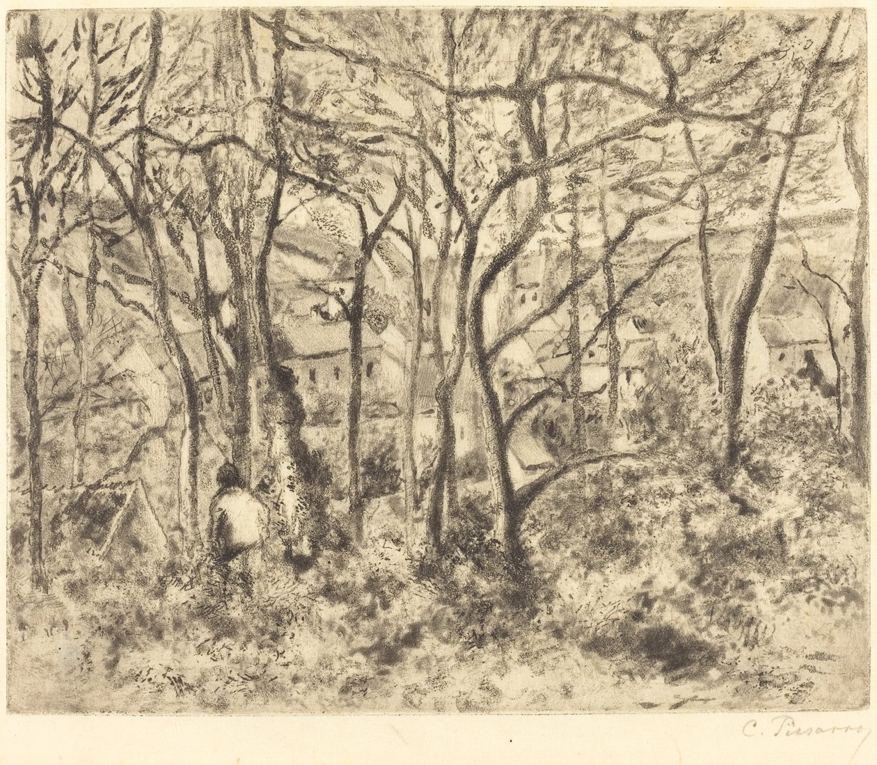 Paisaje boscoso en L