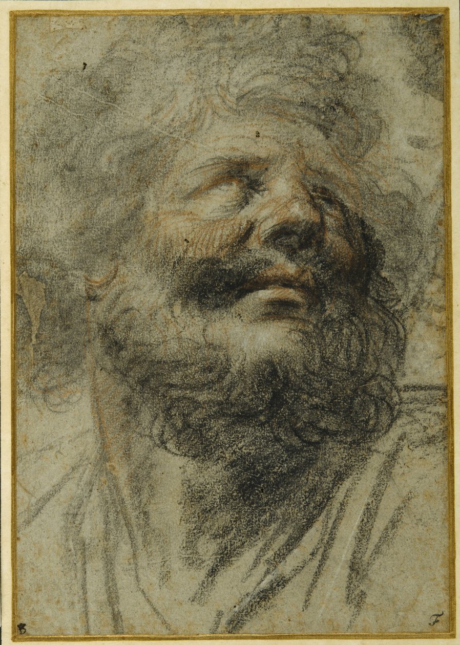 Cabeza de un hombre con barba, mirando hacia la derecha (tiza negra y roja sobre papel gris) de Camillo Procaccini