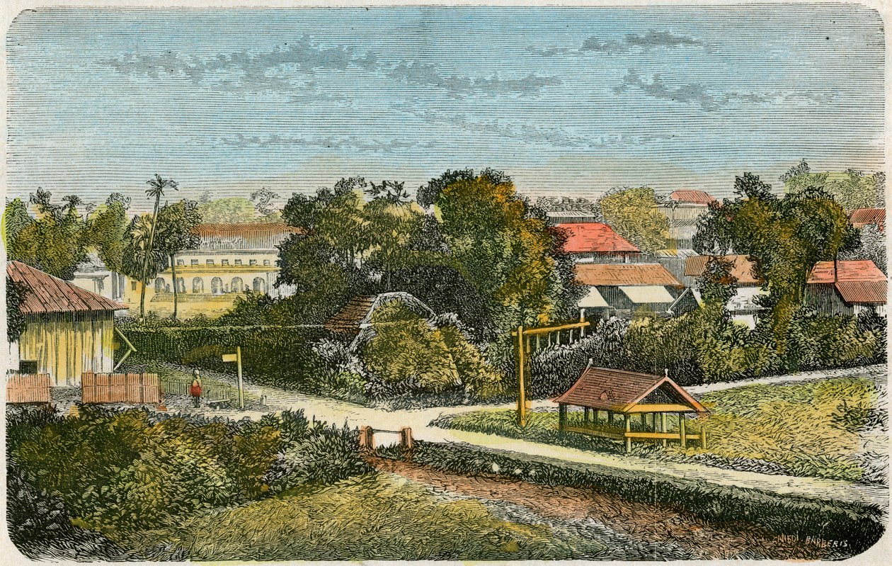 Tonga de Canedi Barberis