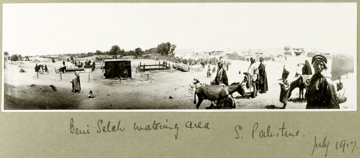 Área de riego de Beni Saleh, julio de 1917 de Capt. Arthur Rhodes