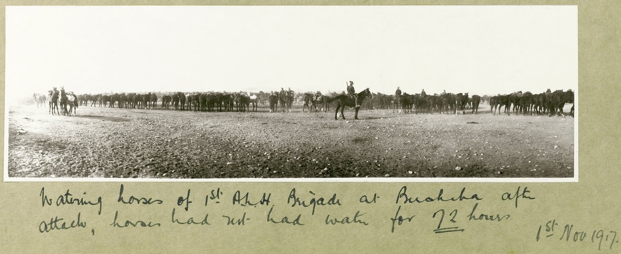 Abrevando caballos de la 1ª Brigada A.L.H. en Beersheba después del ataque, los caballos no habían tenido agua durante 72 horas, 1 de noviembre de 1917 de Capt. Arthur Rhodes