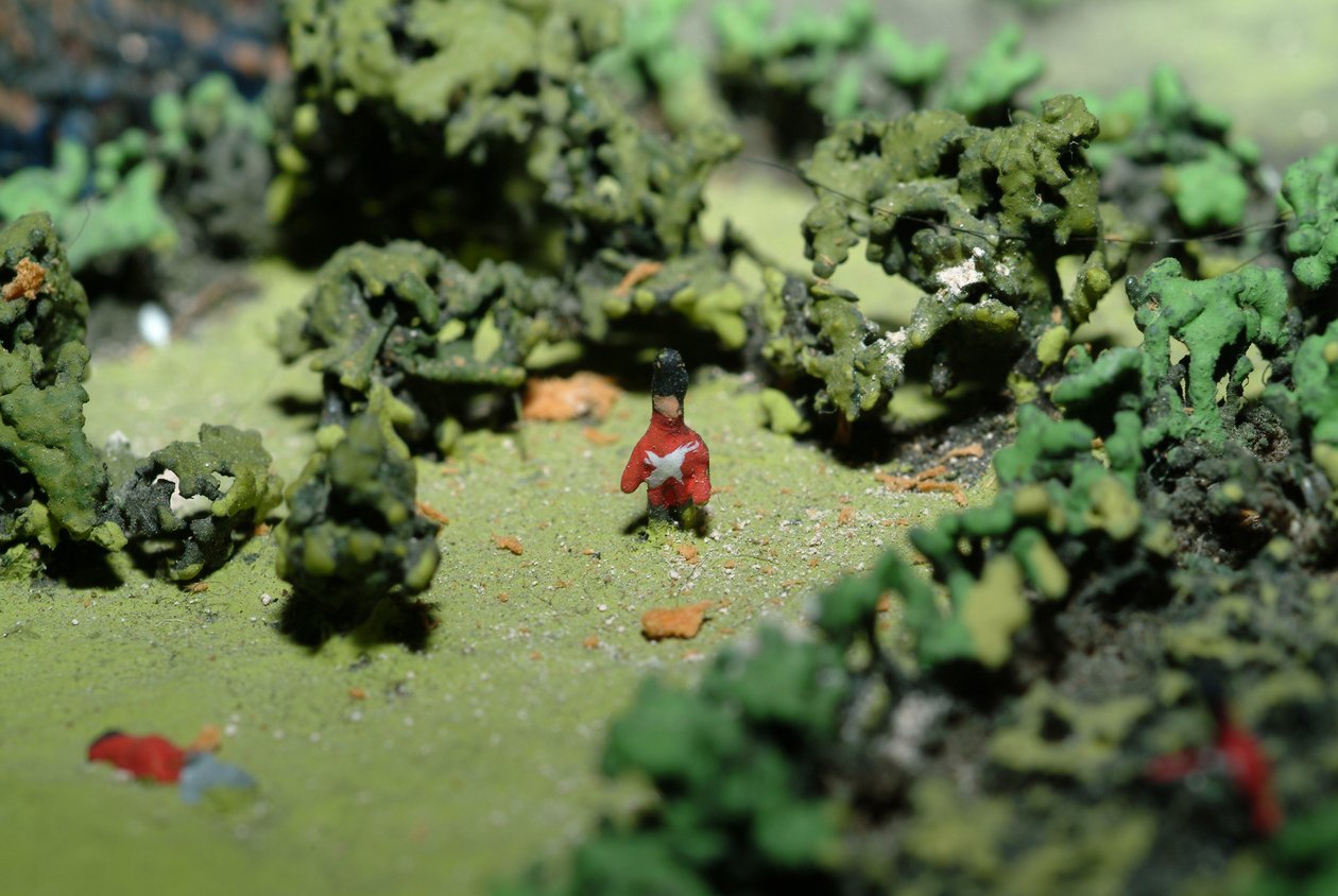 Diorama de la Batalla de Waterloo mostrando las tropas posicionadas a las 19:45 hrs el 18 de junio de 1815 (detalle) de Capt. William Siborne