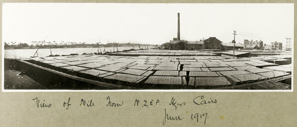 Vista del Nilo desde la sede de N.Z.M.F.A., El Cairo, junio de 1917 de Capt. Arthur Rhodes