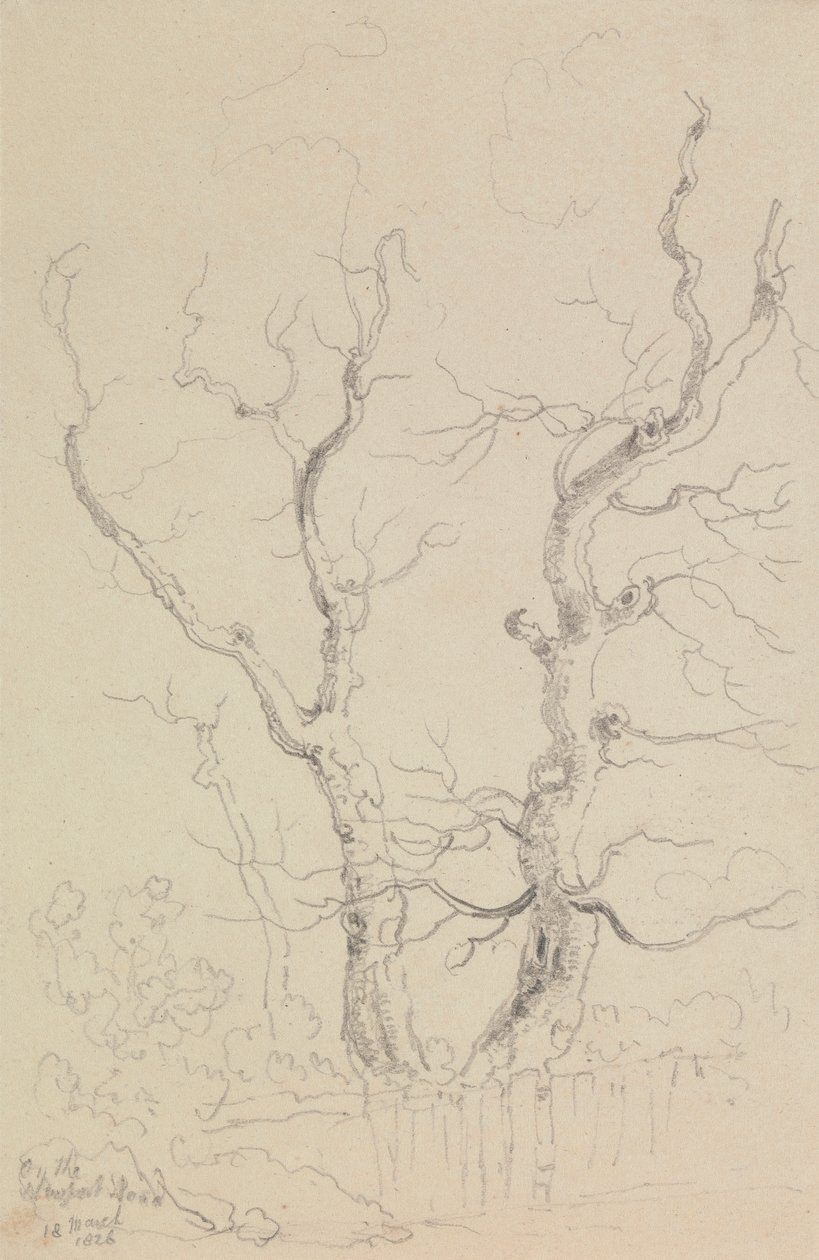 En la carretera de Newport, Isla de Wight de Capt. Thomas Hastings