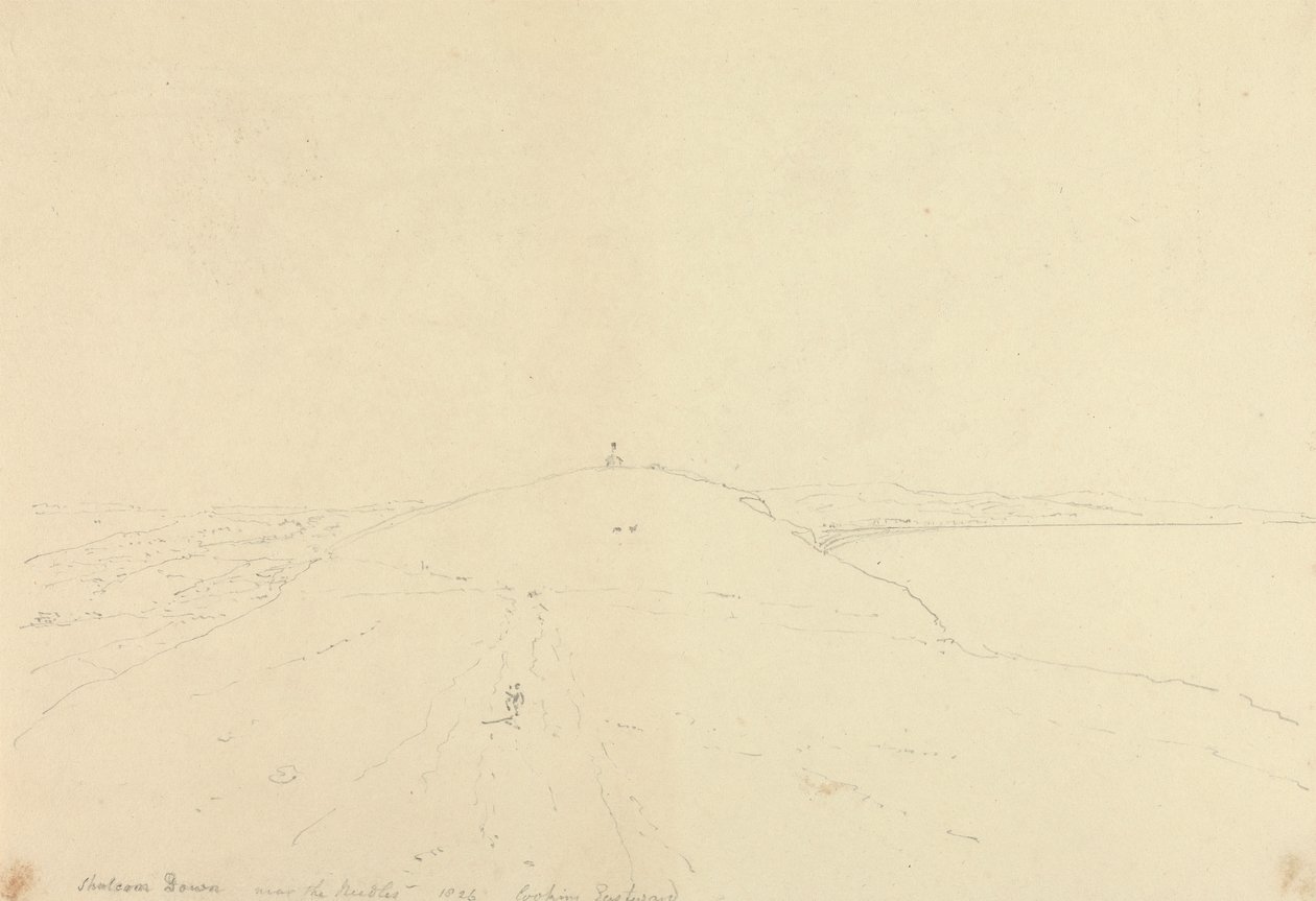 Shalcombe Down cerca de las Needles, mirando hacia el este de Capt. Thomas Hastings