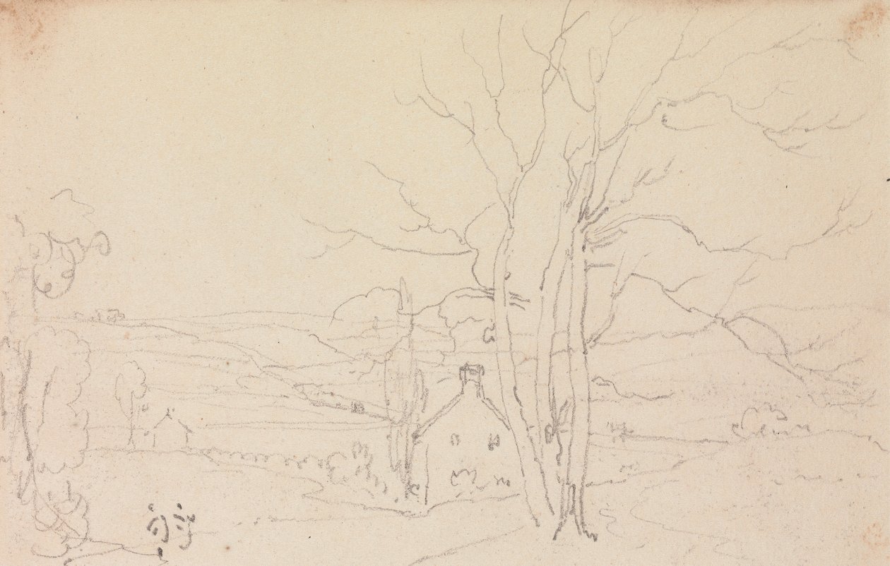 Bosquejo de un gran árbol y una cabaña de Capt. Thomas Hastings