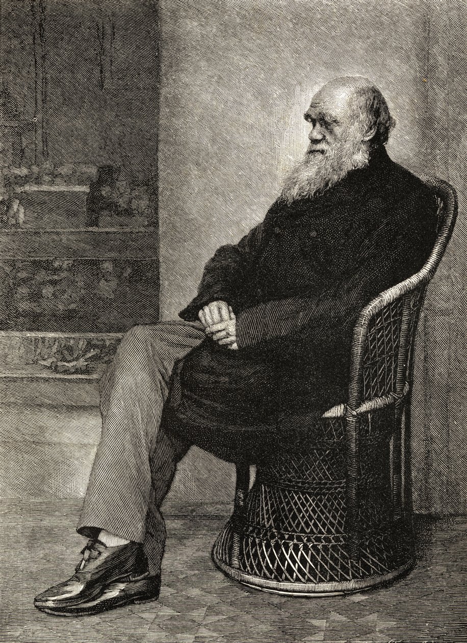 Charles Darwin, ilustración de 