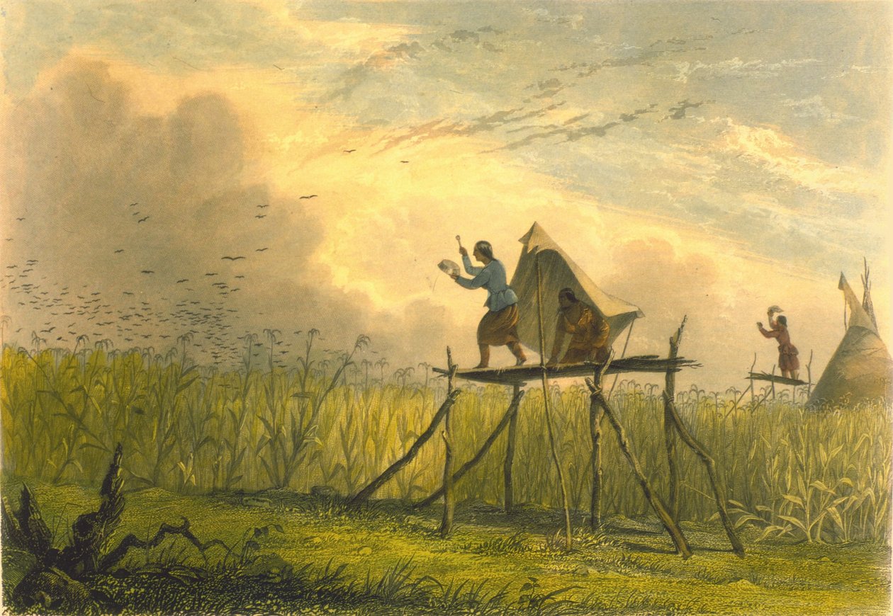 Vigilando los campos de maíz, 1853 de Captain Seth Eastman
