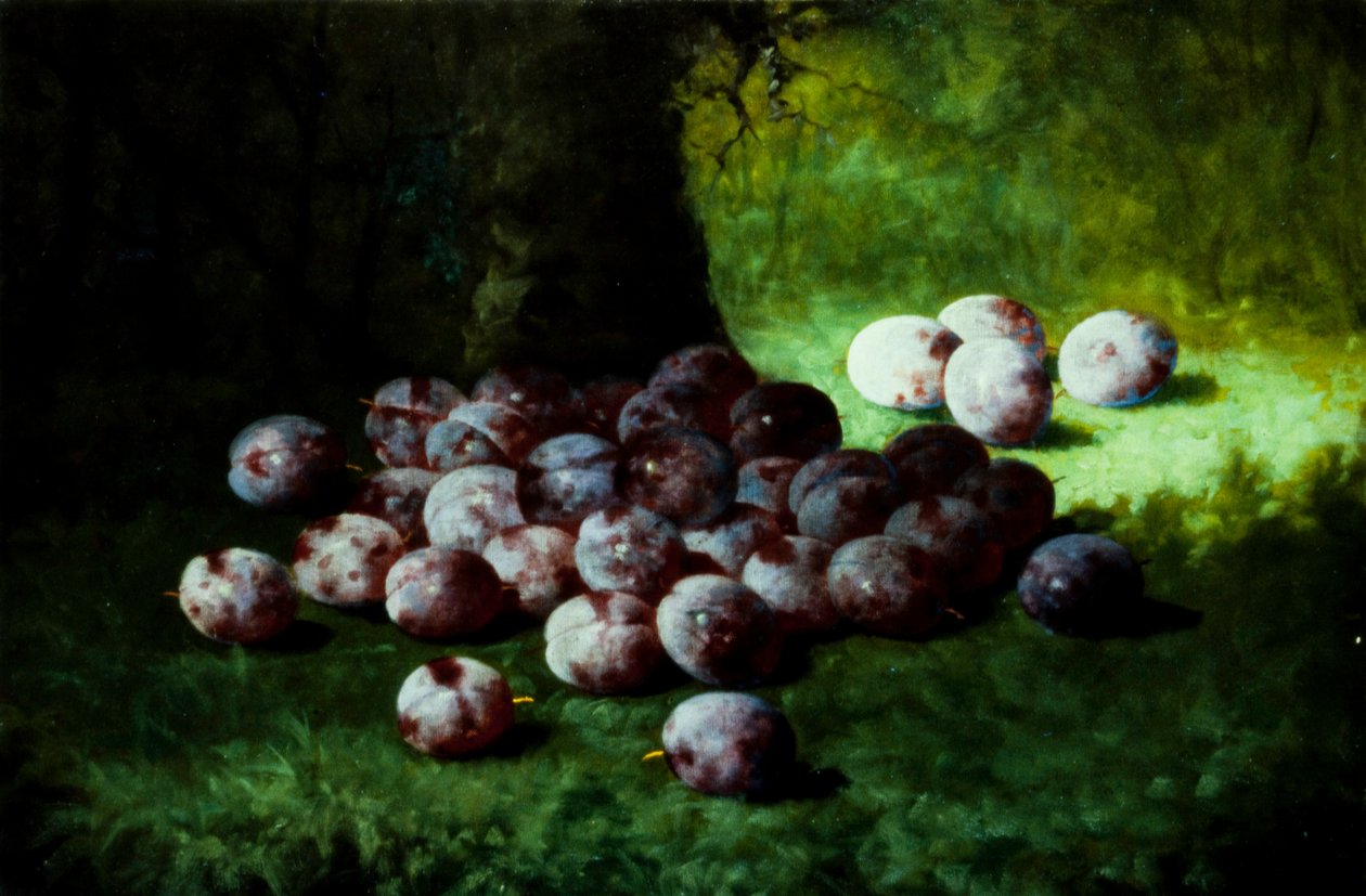 Ciruelas, c.1870 de Carducius Plantagenet Ream