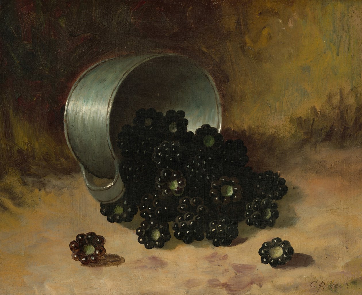 Blackberries Spilling from Tin Cup, s.f. (óleo sobre tabla) de Carducius Plantagenet Ream