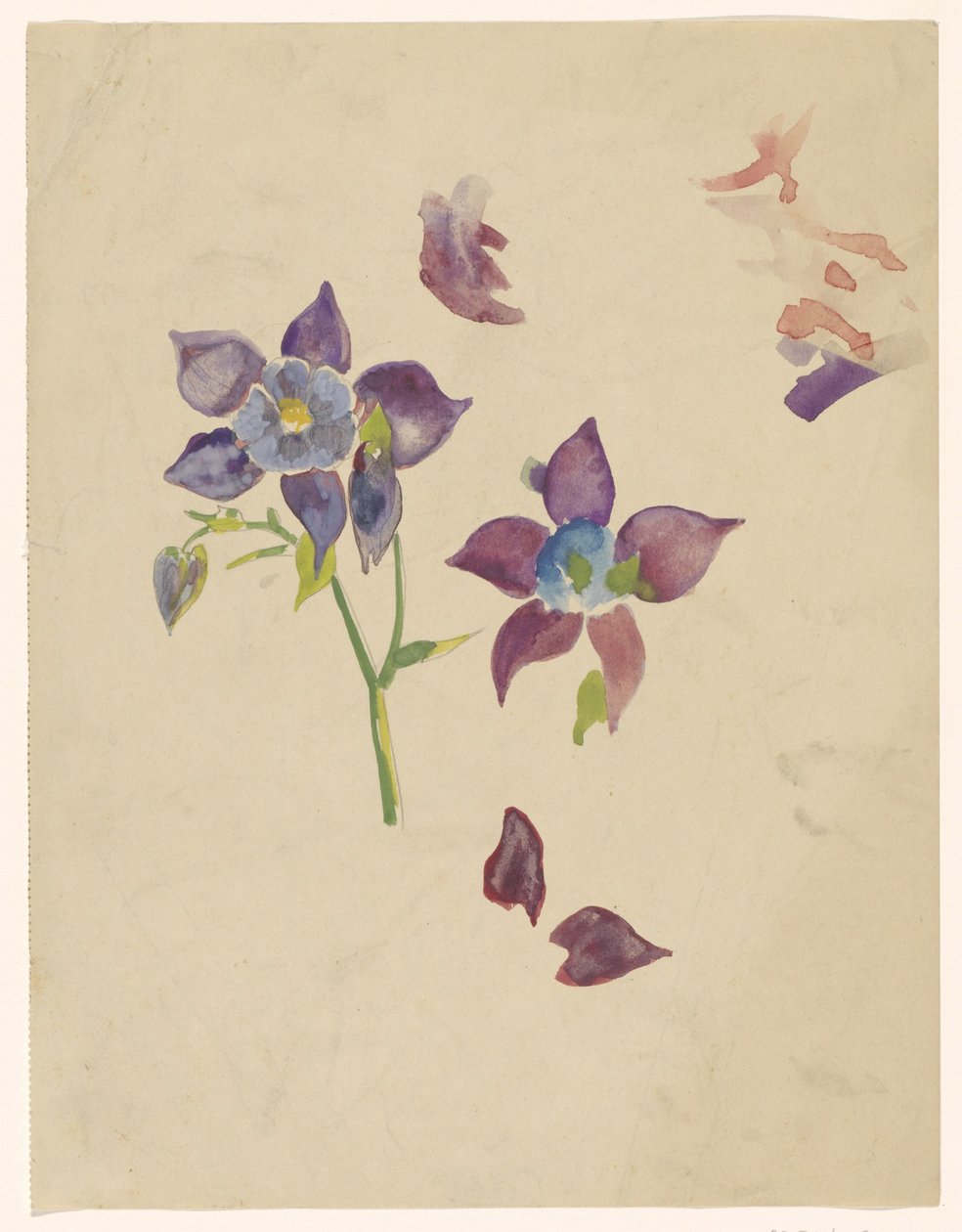 Estudio floral de Carel Adolph Lion Cachet