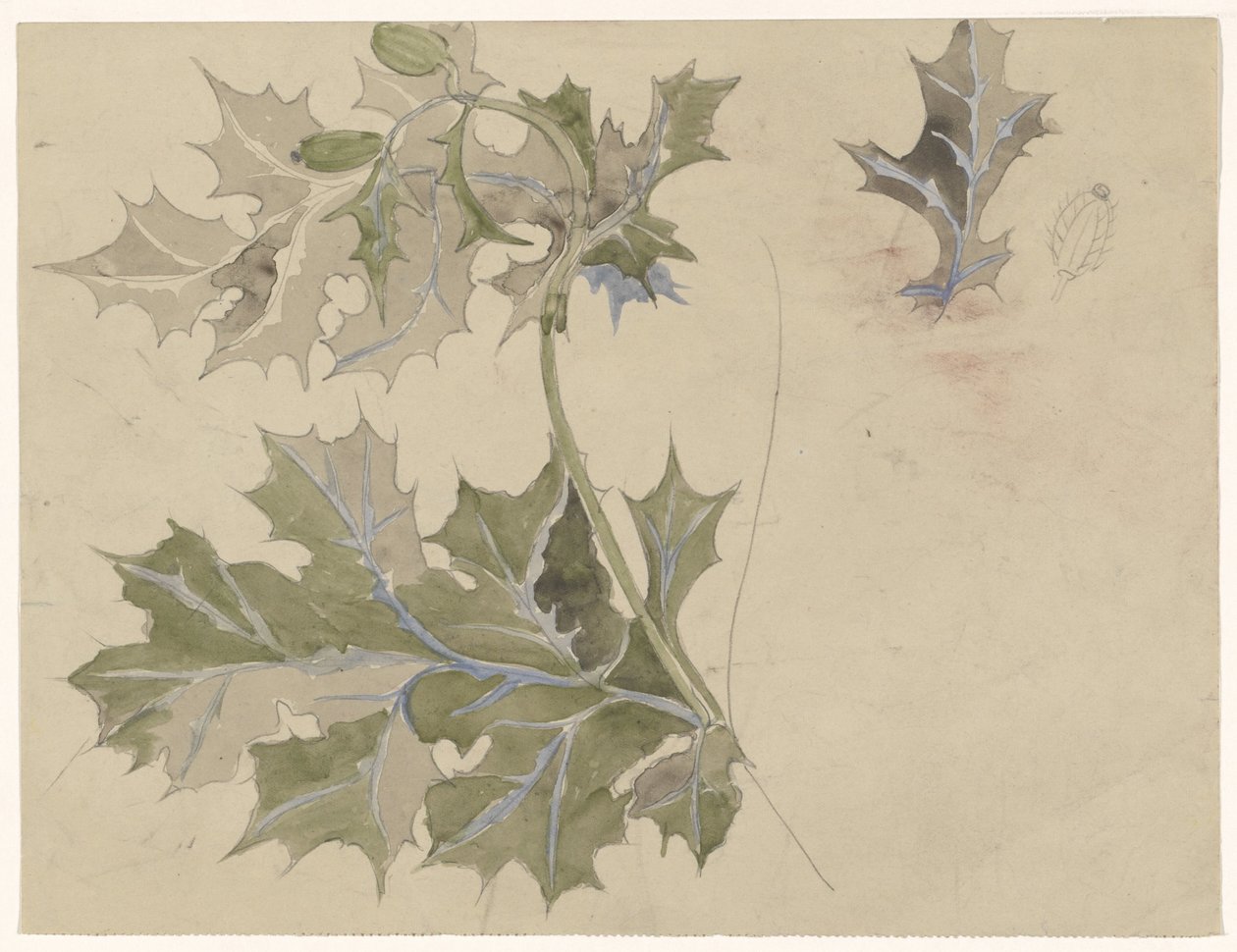 Hojas de cardo de Carel Adolph Lion Cachet