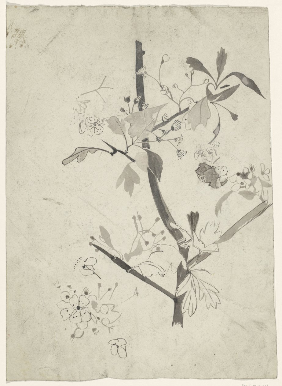 Rama con flor de Carel Adolph Lion Cachet