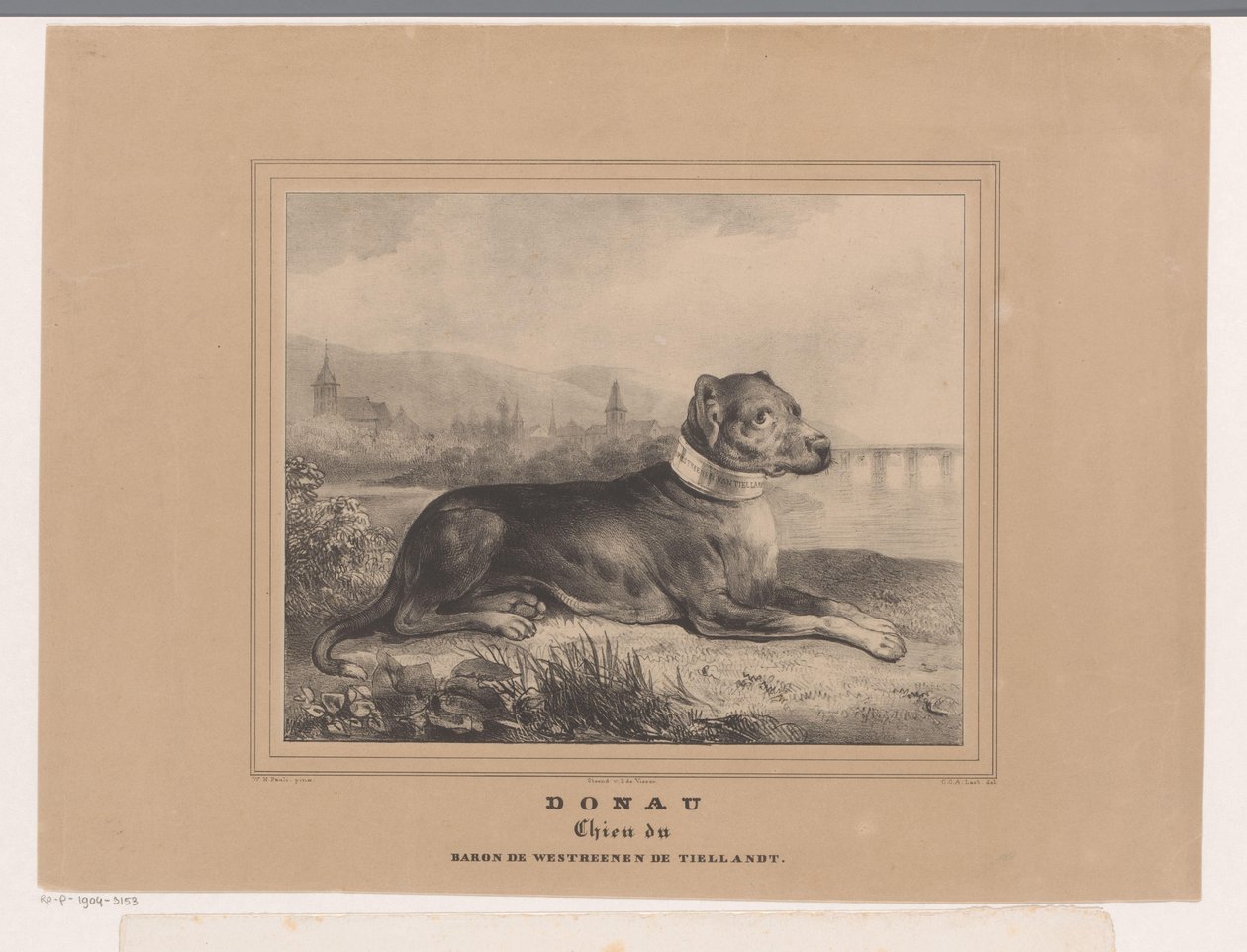 perro danubio Danubio. Chien du Baron de Westreenen de Tiellandt (título sobre el objeto) de Carel Christiaan Antony Last