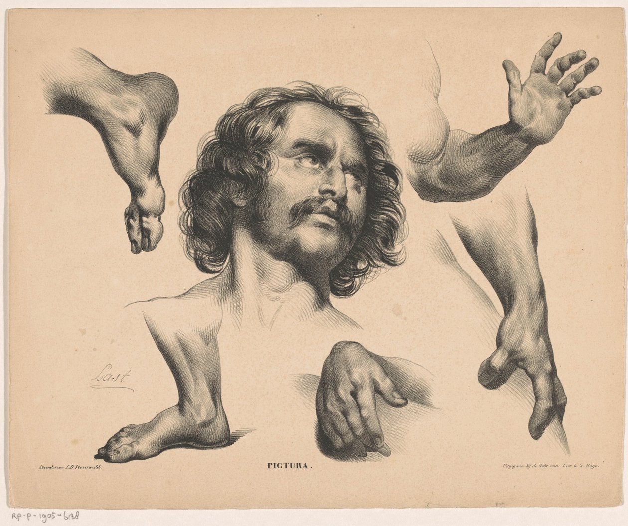 Cabeza de hombre, pies, manos y brazos. Pictura (título de la serie sobre el objeto) de Carel Christiaan Antony Last