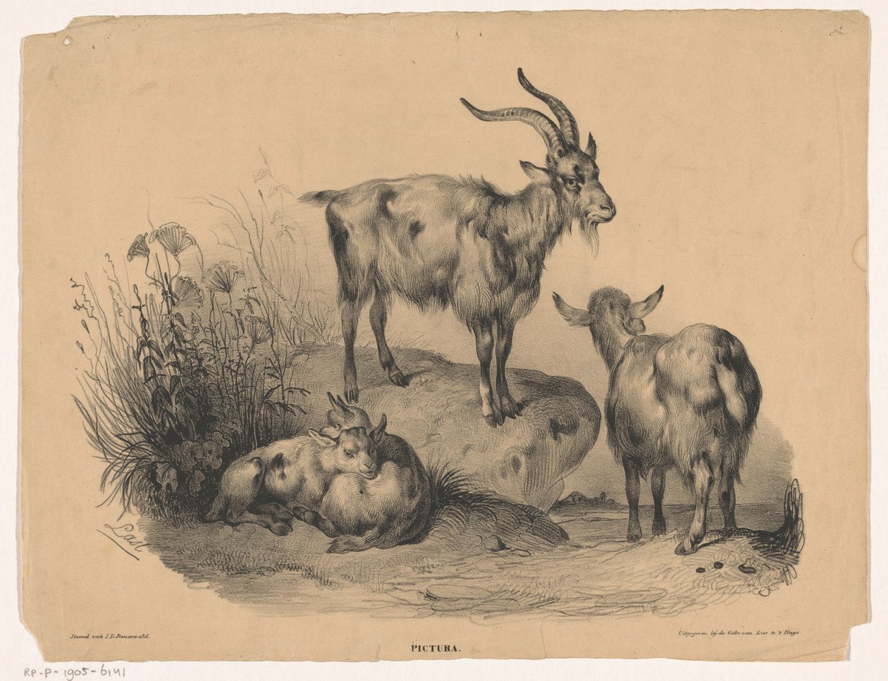 cuatro cabras Pictura (título de la serie sobre el objeto) de Carel Christiaan Antony Last