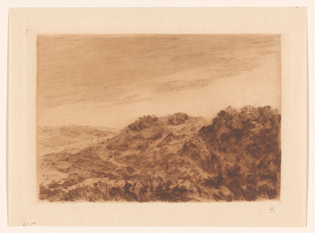 Paisaje de dunas cerca de La Haya de Carel Nicolaas Storm van 