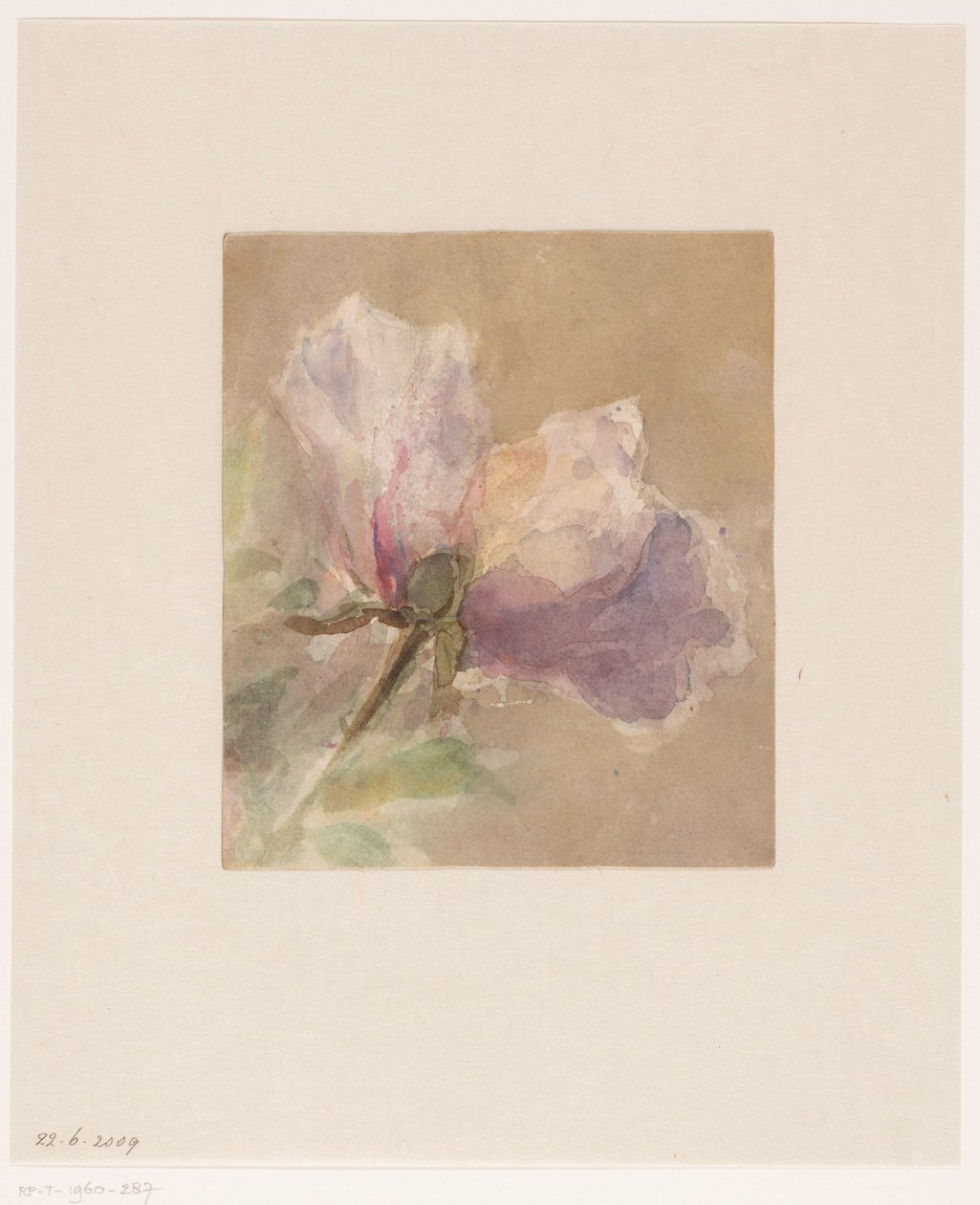 Rosa marchita de Carel Nicolaas Storm van 