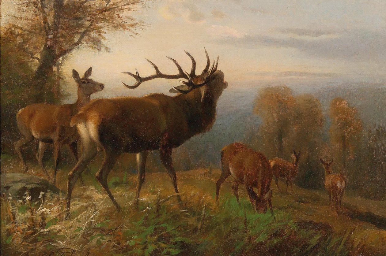 Manada de ciervos rojos de Carl Friedrich Deiker