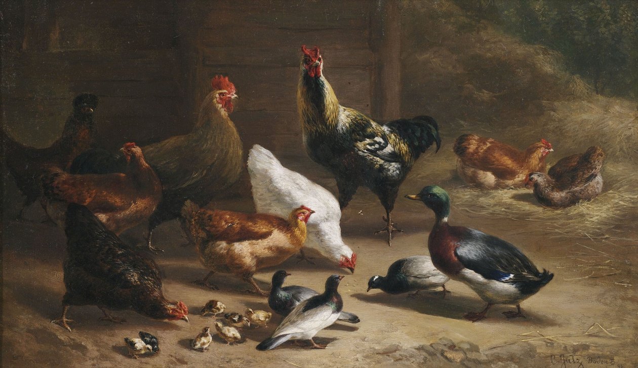Aves en el interior del establo de Carl Jutz