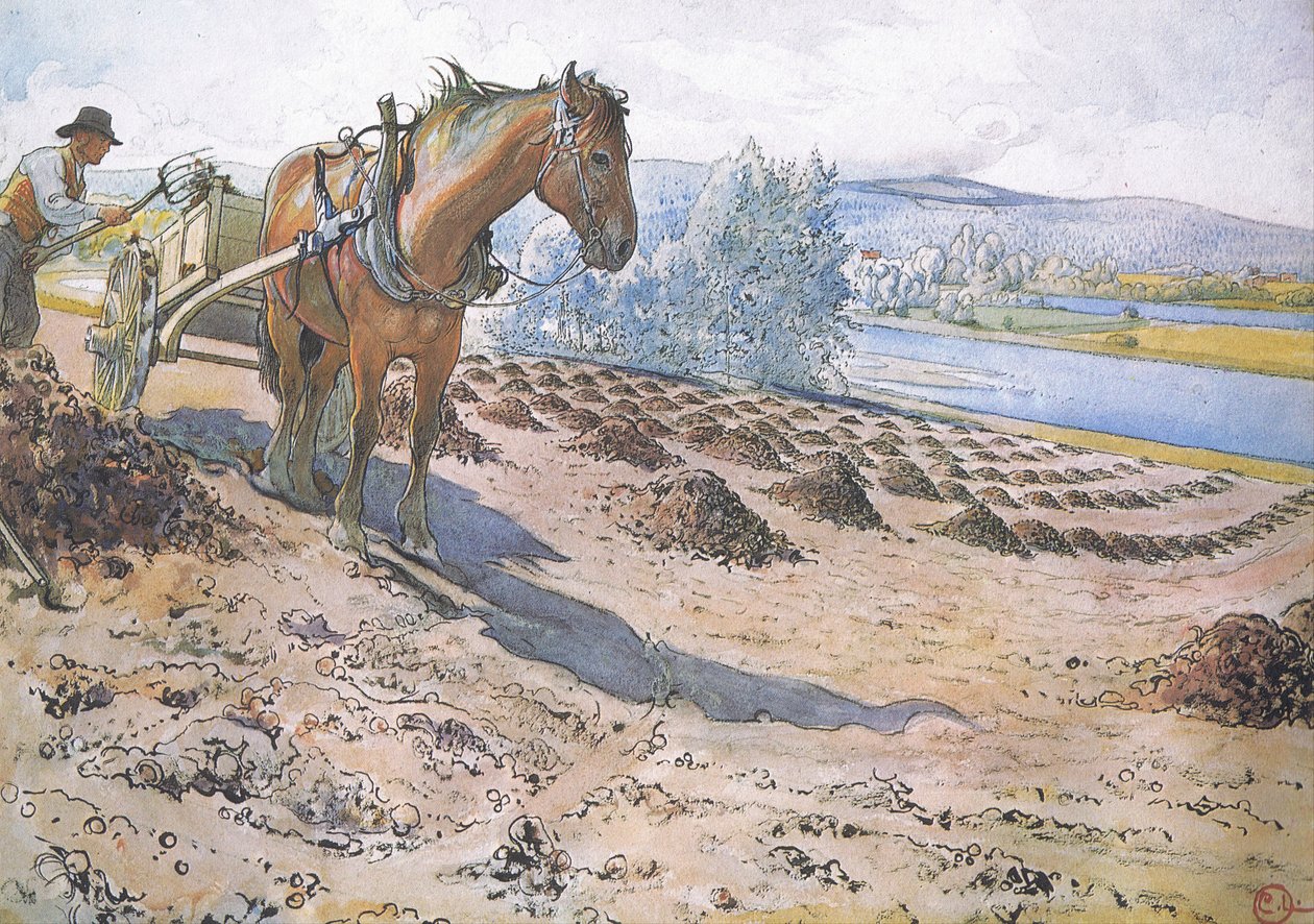Esparciendo estiércol en un campo en barbecho de Carl Larsson
