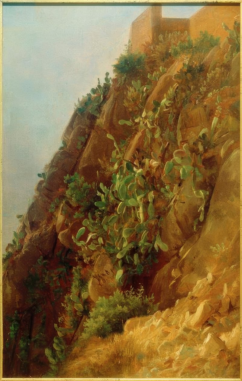 C. Morgenstern, Opuntias en la ladera de Capri de Carl Morgenstern