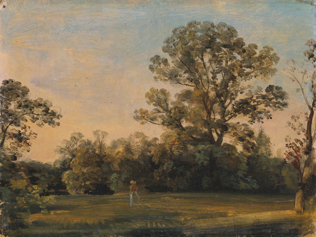 Paisaje forestal con un castillo en el agua. de Carl Blechen
