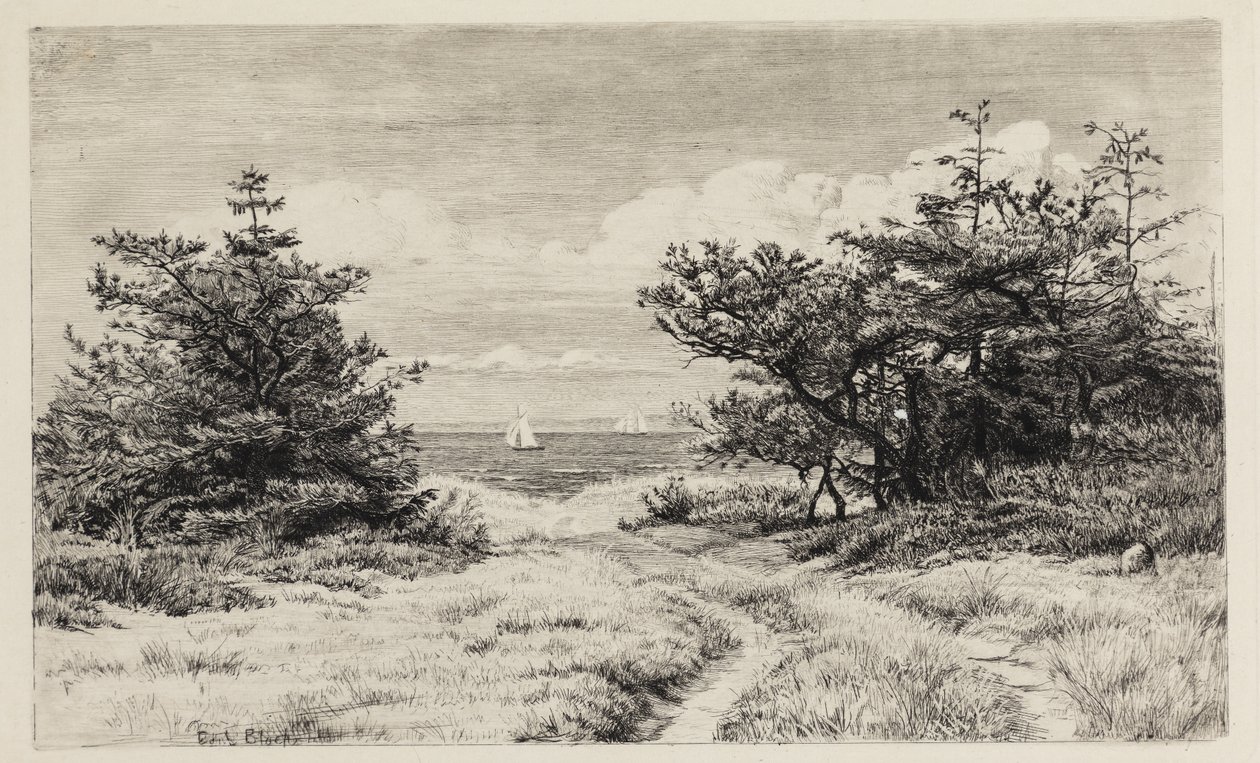 Vista al mar de Carl Bloch