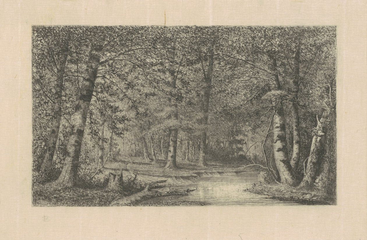 Bosque de hayas de Carl C. Brenner