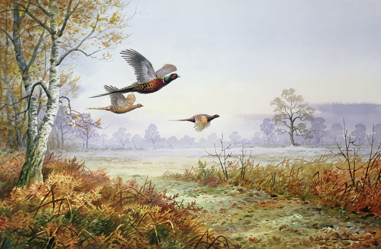 Faisanes en vuelo de Carl Donner